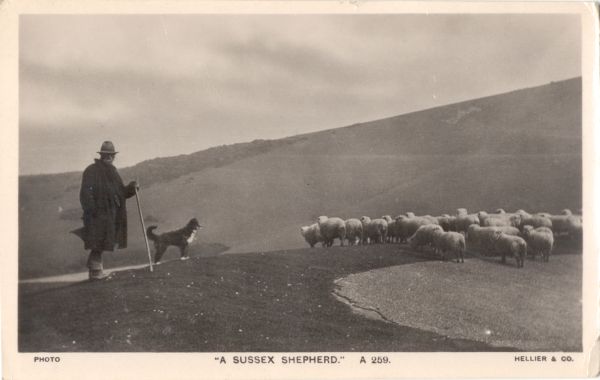 postcard